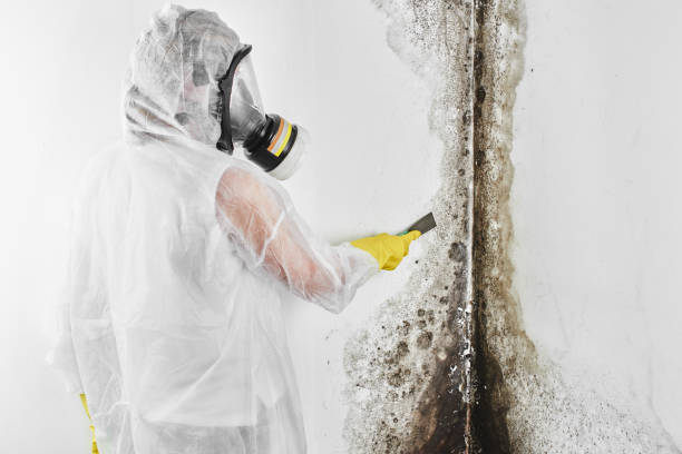 Best Mold Testing  in Lakeway, TX