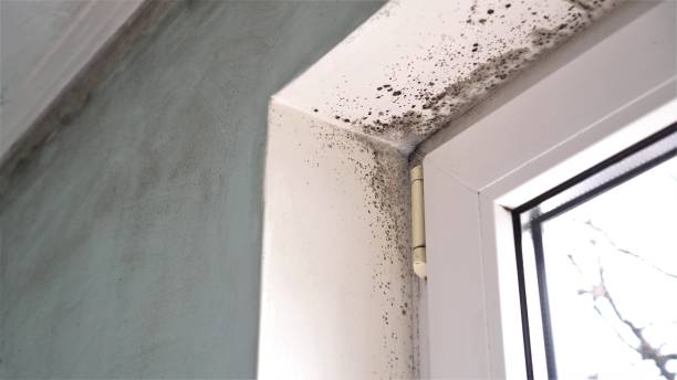 Water Damage Restoration in Lakeway, TX