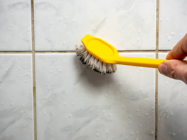 Best Certified Mold Removal  in Lakeway, TX