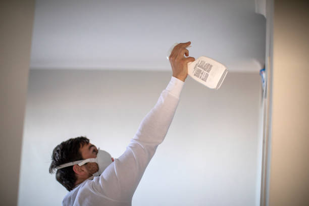 Best Mold Testing  in Lakeway, TX