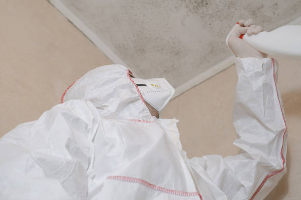 Best Commercial Mold Removal  in Lakeway, TX