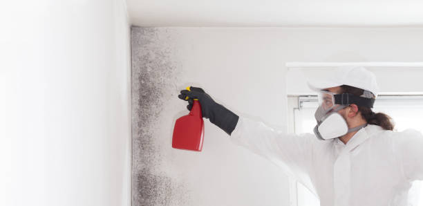 Best Residential Mold Removal  in Lakeway, TX