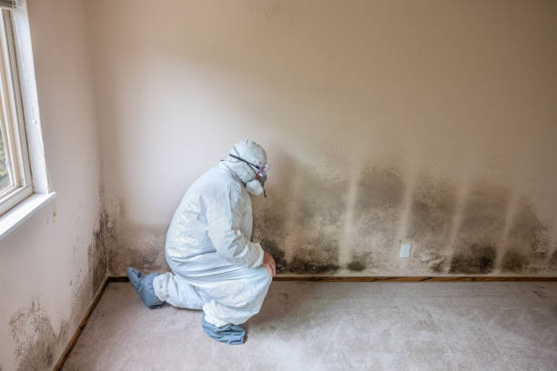 Best Crawl Space Mold Removal  in Lakeway, TX